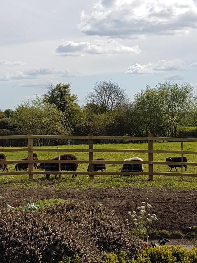 Bed & Breakfast Spring Paddocks 3*